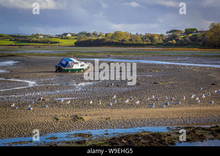 Bateaux dans le port de Killala, comté de Mayo, Irlande Banque D'Images