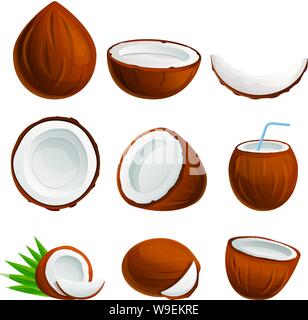 Coconut icons set. Cartoon vector icons set of coconut pour le web design Illustration de Vecteur