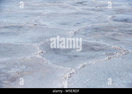 Dans les marais salants du bassin de Badwater, vallée de la mort, en Californie. Le point le plus bas dans la zone continentale des États-Unis. Banque D'Images