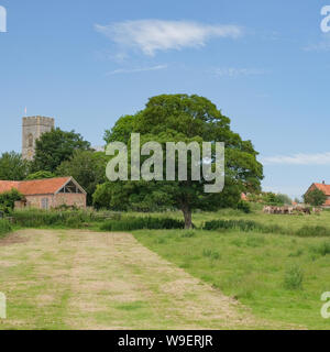 All Saints, Wighton, Norfolk Banque D'Images