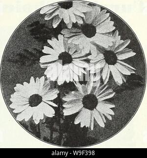 Image d'archive à partir de la page 12 de la Chalp annuelle de printemps, le jardin. Currie's garden : annuel, au printemps 1935, 60e année curriesgardenann19dev. 1 Année : 1935 ( CURRIE BROTHERS CO., Milwaukee, WIS Page 9 ARCTOTIS GRANDIS (Daisy) Lilas africain-3 ft. Il forme des buissons roulement 2 pouces daisy fleurs de couleur blanc nacré avec une bande d'or entourant un centre mauve délicat. Il se ferme à soir et affiche son teinté de lilas sous- parties. Feuillage vert gris. En particulier bonne fleur coupée. Vs oz., 30c Pkt. 10c ARCTOTIS Un autre des hybrides de jolies fleurs qui sont venus à nous dernièrement à partir de l'Afrique. Les hybrides viennent dans une br Banque D'Images