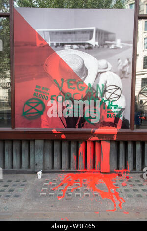 13 août 2019 - suite de l'attaque sur l'ambassade du Brésil par l'extinction de la rébellion. La peinture et le vandalisme daubs l'extérieur avec la protection de la police. Banque D'Images