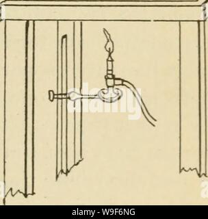 Image d'archive à partir de la page 18 de la culture des mûriers