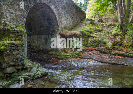 Altavaddy dans le pont Tollymore Forest Park Banque D'Images