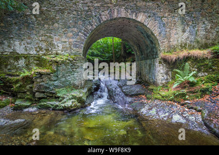 Altavaddy dans le pont Tollymore Forest Park Banque D'Images