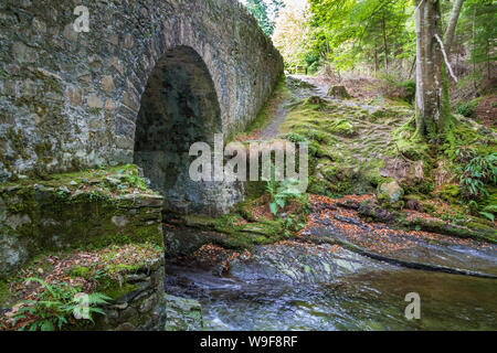 Altavaddy dans le pont Tollymore Forest Park Banque D'Images