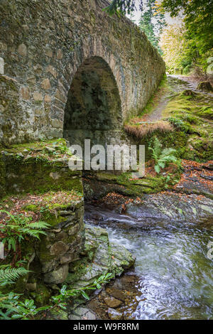 Altavaddy dans le pont Tollymore Forest Park Banque D'Images