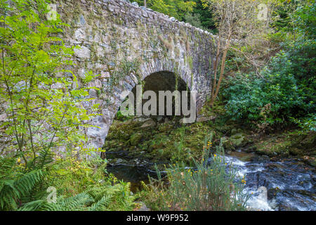 Vieux Pont Parnell au Tollymore Forest Park Banque D'Images