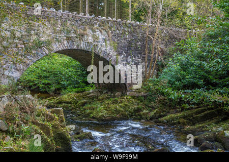 Vieux Pont Parnell au Tollymore Forest Park Banque D'Images