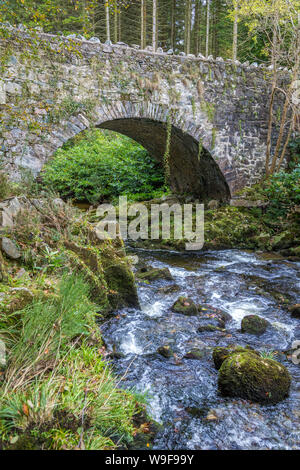 Vieux Pont Parnell au Tollymore Forest Park Banque D'Images