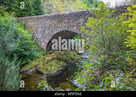 Vieux Pont Parnell au Tollymore Forest Park Banque D'Images