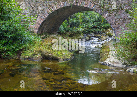 Vieux Pont Parnell au Tollymore Forest Park Banque D'Images