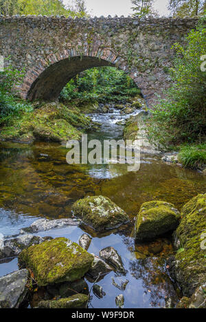 Vieux Pont Parnell au Tollymore Forest Park Banque D'Images