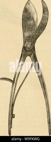 Image d'archive à partir de la page 52 de la culture du raisin (1866) Banque D'Images