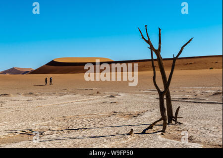 Arbres morts contre contre la toile rouge de la des immenses dunes de sable de la Namibie à l'Deadvlei Banque D'Images