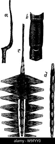 Image d'archive à partir de la page 85 d'un manuel pour l'étude Banque D'Images