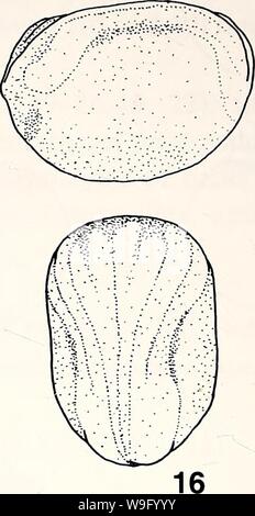 Image d'archive à partir de la page 85 de l'herpétologie actuel (2000) Banque D'Images