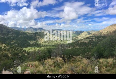 Paysage de la montagnes Chiricahua dans le sud de l'Arizona's Monument National Chiricahua. Banque D'Images