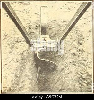 Image d'archive à partir de la page 99 de Currie's Farm et jardin annuel. Currie's Farm et le jardin de printemps annuel : 1921 46e année curriesfarmgarde19dev. 4 Année : 1921 ( no 31 Planète combiné Semoir Semoir Jr. Hoe roue. Juste le Seeder pour le petit jardinier. 15,50 $. Banque D'Images