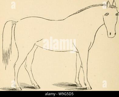 Image d'archive à partir de la page 115 de l'appareil de Cunningham et pour les éleveurs. L'appareil de Cunningham pour les éleveurs et agriculteurs cunninghamsdevic00cunn Année : 1882 DESCRIPTION La hauteur des marques de couleur ( Banque D'Images