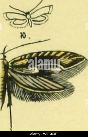 Image d'archive à partir de la page 126 de figure und Beschreibung europäischer Schmetterlinge