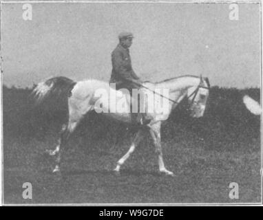 Image d'archive à partir de la page 130 de points du cheval ; un Banque D'Images