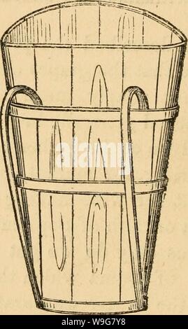 Image d'archive à partir de la page 135 de la culture de l'indigène. La culture du raisin indigènes cultivationofnat01husm Année : 1866 ( 132 Fabrication de première, et ceux qui ne sont pas assez mûres restent sur les vignes jusqu'à maturité. Ils mûrissent beaucoup plus vite si le grappes plus mûrs ont été retirés. La première met en œuvre nécessaires à la collecte sont propres et l'étain en bois seaux et les couteaux tranchants, ou mieux encore, la petite shears est parlé dans une ancienne partie de ce travail. Chaque gatherer est fourni avec un seau, ou deux peuvent aller ensemble, avoir un seau chaque, afin que l'un et l'autre vide peut garder f Banque D'Images