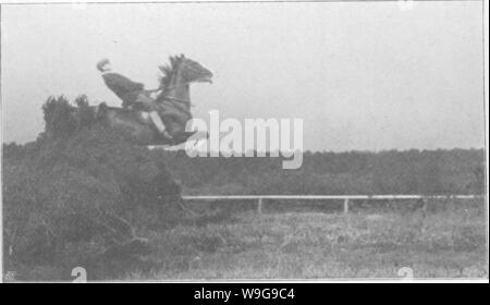 Image d'archive à partir de la page 148 de points du cheval ; un Banque D'Images