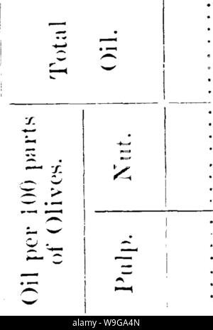 Image d'archive à partir de la page 157 de l'olive de sa culture Banque D'Images