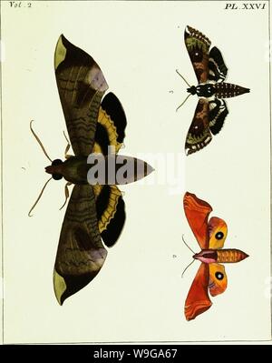 Image d'archive à partir de la page 158 d'illustrations de l'histoire naturelle dans laquelle. Illustrations de l'histoire naturelle. Où sont exposés plus de deux cent quarante figures d'insectes exotiques, en fonction de leurs genres differt ... Avec une description de chaque insecte : entrecoupées par des remarques et réflexions sur la nature et les propriétés d'un grand nombre d'entre eux CUbiodiversity1134718-9575 Année : 1770 ( Banque D'Images