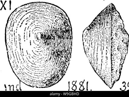 Image d'archive à partir de la page 171 d'un dictionnaire des fossiles Banque D'Images