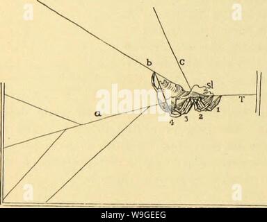 Image d'archive à partir de la page 199 de l'American araignées et leurs spinning