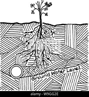 Image d'archive à partir de la page 218 de la nature et les propriétés de Banque D'Images