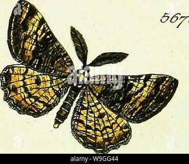 Image d'archive à partir de la page 220 de Hübner's geometra [ressource électronique] (1798). L'HuÌbner geometra [ressource électronique] Cubiodiversity7643250 Année : 1798   04 $ ( $&Ki â Cc-- - 1 Banque D'Images
