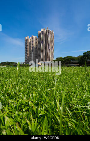 L'angle de la 40e histoire créative bloc HDB et terrain vert, Singapour Banque D'Images