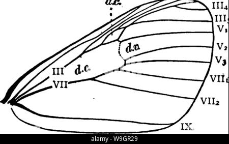 Image d'archive à partir de la page 322 d'un manuel pour l'étude Banque D'Images