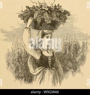 Image d'archive à partir de la page 364 de la culture du raisin (1866) Banque D'Images