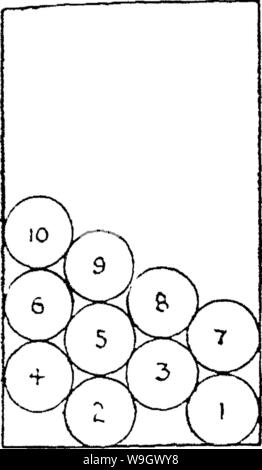 Image d'archive à partir de la page 381 de l'encyclopédie de l'horticulture ; Banque D'Images