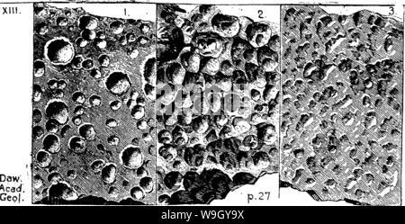 Image d'archive à partir de la page 417 d'un dictionnaire des fossiles Banque D'Images