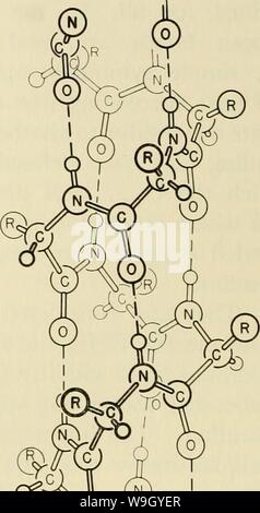 Image d'archive à partir de la page 419 des courants dans la recherche biochimique, 1956 ;. Les courants dans la recherche biochimique, 1956 ; vingt-sept essais tracer la voie actuelle de la recherche biochimique et compte tenu de la relation intime de biochimie à la médecine, la physiologie, biologie et currentsinbioche1956gree Année : 1956 ( Banque D'Images