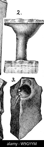 Image d'archive à partir de la page 432 d'un dictionnaire des fossiles Banque D'Images