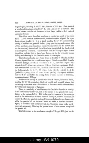 Image d'archive à partir de la page 438 de la géologie du bassin de Narragansett Banque D'Images