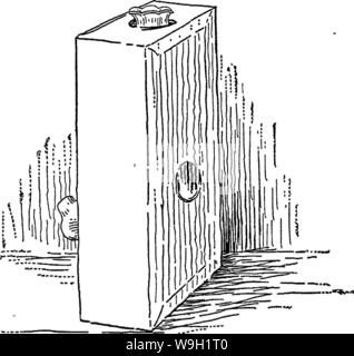 Image d'archive à partir de la page 471 de la bactériologie et mycologie d'aliments Banque D'Images