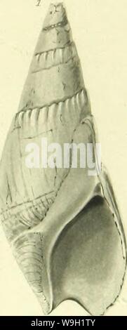 Image d'archive à partir de la page 470 d'un catalogue descriptif de la Banque D'Images