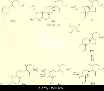 Image d'archive à partir de la page 550 des courants dans la recherche biochimique, 1956 ; Banque D'Images