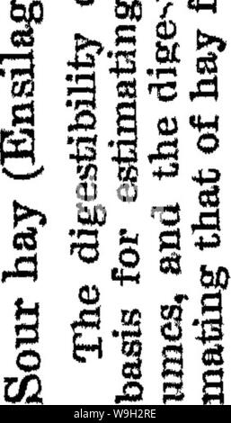 Image d'archive à partir de la page 550 du manuel d'un traité d'alimentation du bétail Banque D'Images