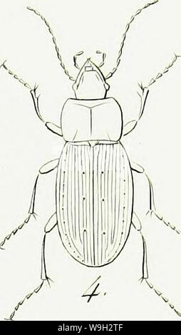 Image d'archive à partir de la page 506 de l'iconographie et histoire naturelle des Banque D'Images