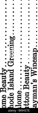 Image d'archive à partir de la page 521 de l'encyclopédie de l'horticulture ; pratique Banque D'Images