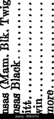 Image d'archive à partir de la page 521 de l'encyclopédie de l'horticulture ; pratique Banque D'Images