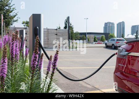 Tesla Model S branché sur Tesla Supercharger urbain à CF Sherway Gardens de Toronto (Etobicoke). Banque D'Images